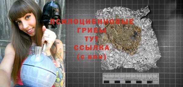 винт Карпинск
