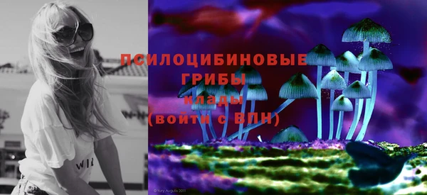 винт Карпинск