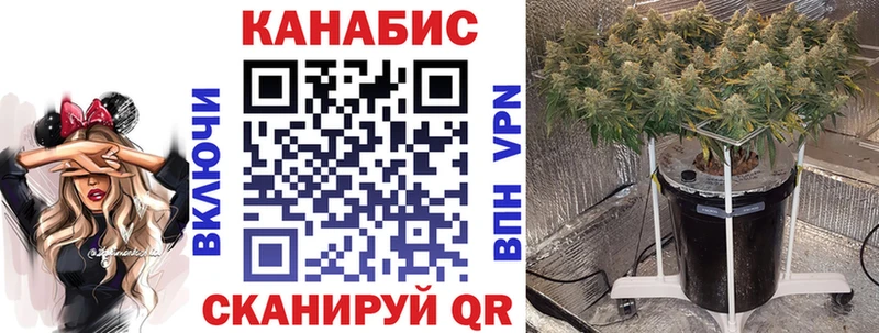Бошки Шишки Bruce Banner  Купить закладки  Братск 